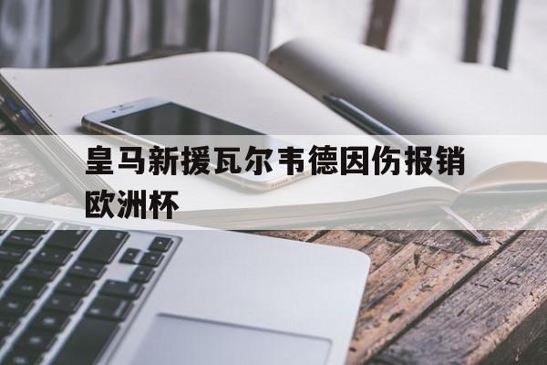 开云综合app登录入口-皇马新援瓦尔韦德因伤报销欧洲杯